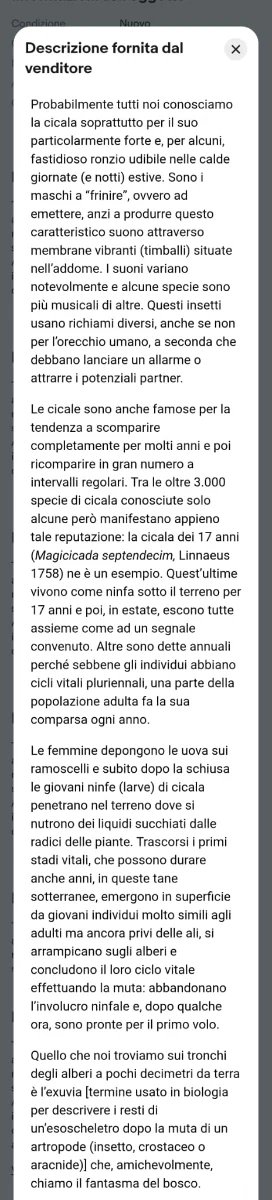 Esoscheletro Cicala Ninfa Exuvia