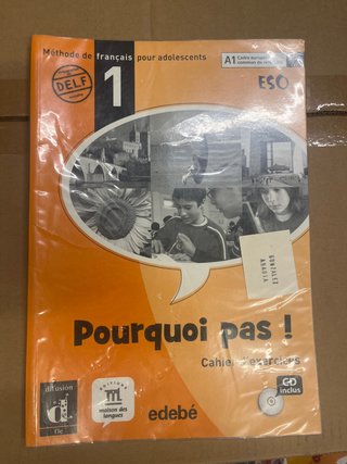 Pourquoi pas ! 1 Cuaderno de ejercicios + DELF A1