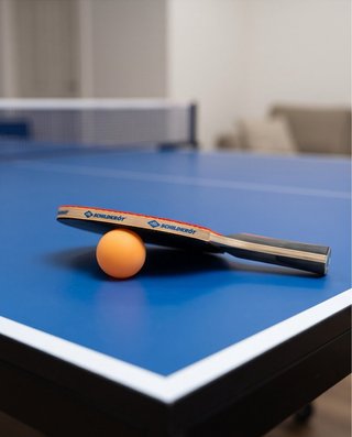 12 Pelotas Ping Pong Donic Schildkrot Jade