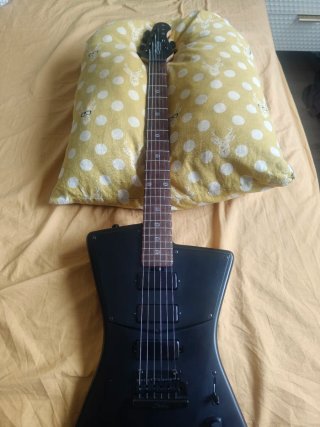 Guitarra Sterling by Music Man STV60