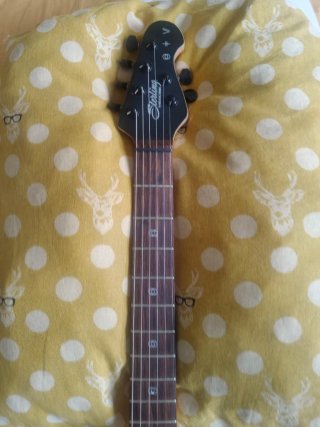Guitarra Sterling by Music Man STV60