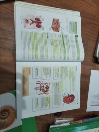 3DBH Biologia eta geologia, Egiten Jakin pro