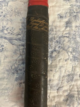 Racchetta Tennis Vintage Maxima Aurea
