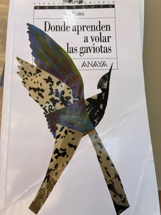 Donde aprenden a volar las gaviotas