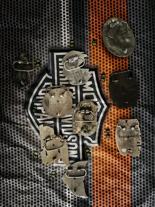 Hebillas Harley Davidson (Lote 9)