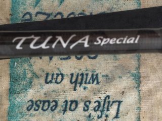 Caña de pesca Popping Abu Garcia Salty Stage KR-X