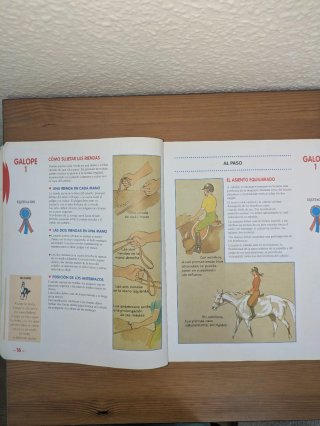 CURSO DE EQUITACIÓN. GALOPES. NIVELES 1 AL 4
