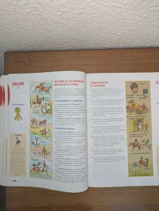 CURSO DE EQUITACIÓN. GALOPES. NIVELES 1 AL 4
