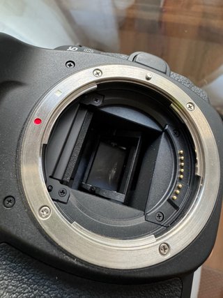 Canon EOS 80D + Tamron 16-300mm f/3.5-6.3 Di II VC