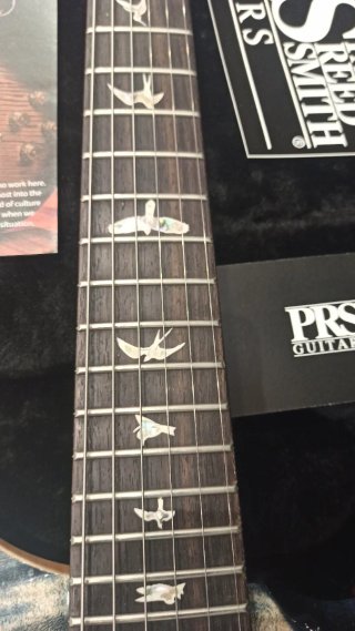PRS Studio Guitarra Eléctrica
