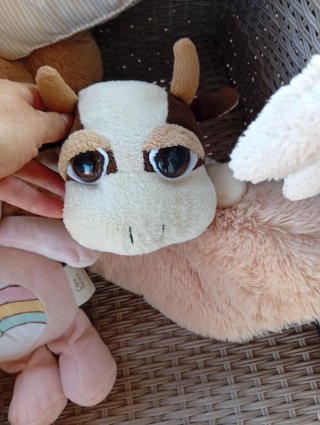 Lote de peluches infantiles variados