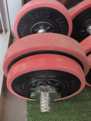 Pesas 7.5kg + Barra Convertible