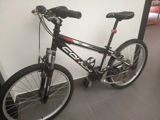 Bicicleta infantil 440