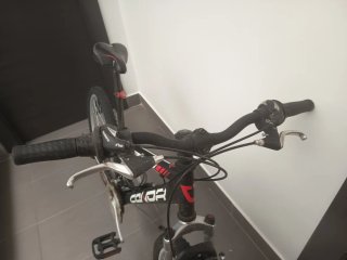 Bicicleta infantil 440