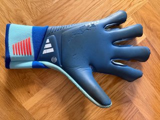 Guantes portero Adidas Predator