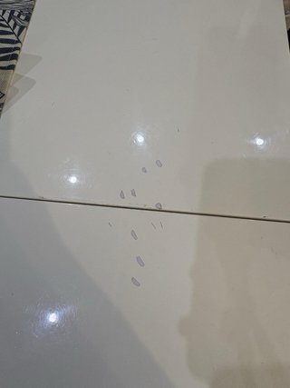 Mesa y 6 Sillas Comedor