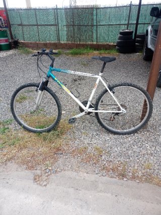 Bicicleta de Montaña