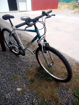 Bicicleta de Montaña