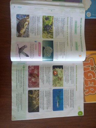 Libros de texto 3 primaria