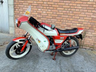 Ducati Desmo 500 Carreras Antigua