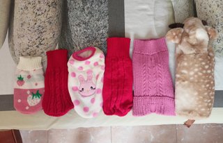 6 Ropitas para Chihuahua sin estrenar