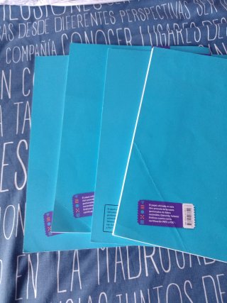 Matemáticas 3, Segundo Ciclo Primaria, FanFest