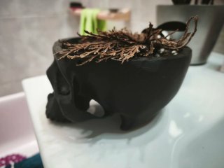 Maceta Calavera Colgante 3D ¡Para plantas!