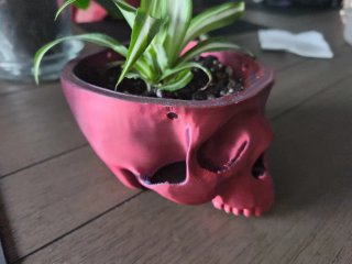 Maceta Calavera Colgante 3D ¡Para plantas!