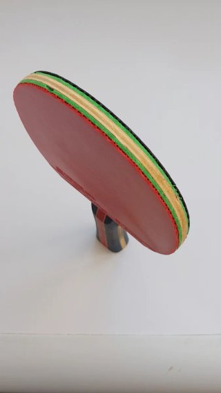 Pala de Tenis de Mesa ANDRO
