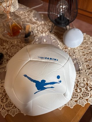 Pallone da calcio Panini Team Ball Size 5
