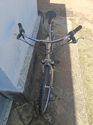 Bicicleta paseo adulto ruedas grandes