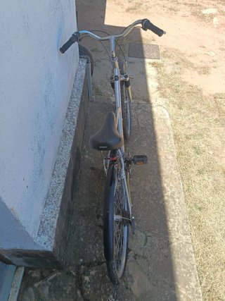 Bicicleta paseo adulto ruedas grandes