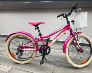 Bicicleta infantil Conor WRC 20