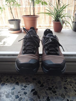 Deportivas Adidas Terrex senderismo