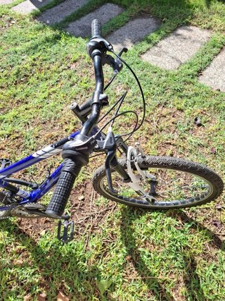 Bicicleta JL WENTI Action Cycles Azul