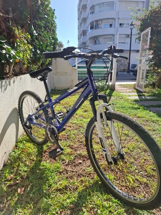Bicicleta JL WENTI Action Cycles Azul