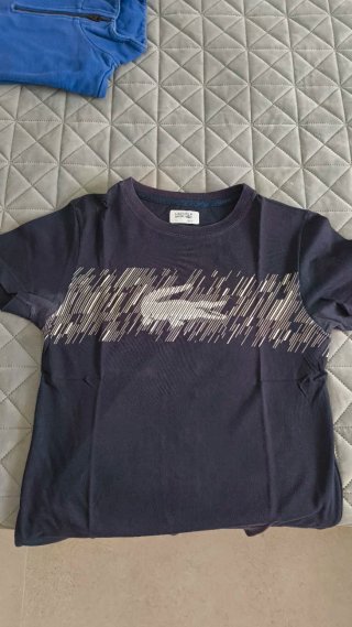 Camiseta Lacoste Sport