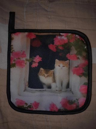 Solidario: Guante de cocina y agarradera gatos