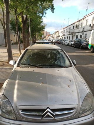 Citroen Xsara 2001