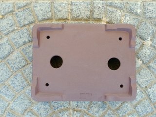 Maceta Rectangular Bonsái Marrón