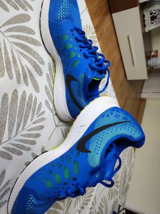 Nike Air Zoom Pegasus 31 Talla 42
