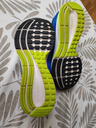 Nike Air Zoom Pegasus 31 Talla 42