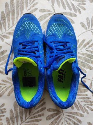 Nike Air Zoom Pegasus 31 Talla 42