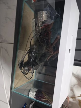 Acuario Peces Decorado