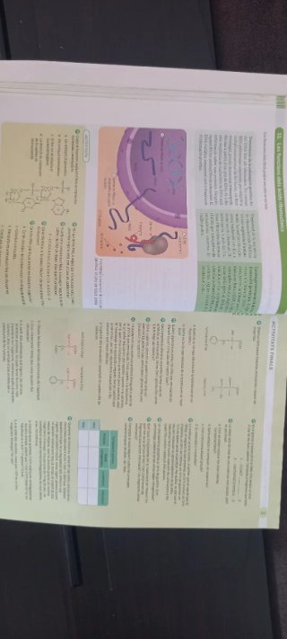 BIOLOGIA 1 BTX CONSTRUINT MONS