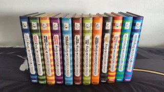 Colección libros Diario de Greg 2-13