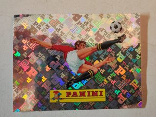 Cromo Panini Mundial 00