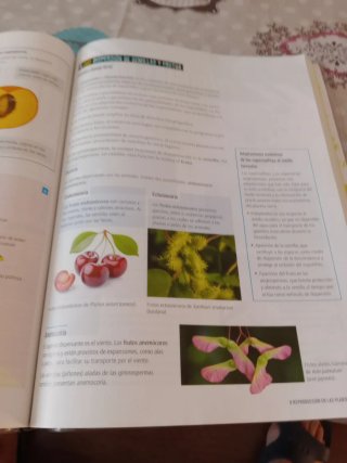 Proyecto: FanFest - Biología, Geología y Cienci...