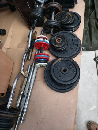Equipo de gimnasio: pesas y barras