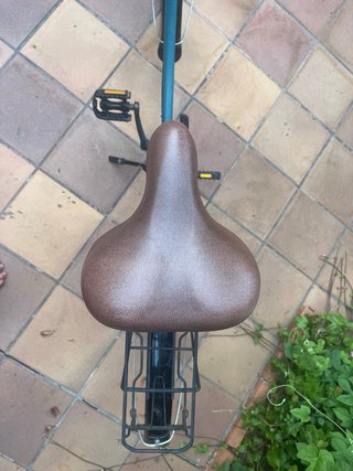 Bicicleta paseo vintage verde